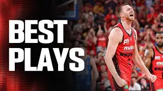 Лучшие моменты Дилана Виндлера из NBL25