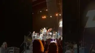 Zebra - Tell Me What You Want live 2024 - WPDH Mistletoe Jam MJN Convention Center #zebra #wpdh