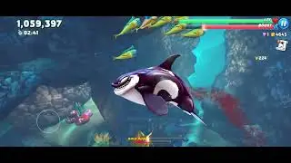 Hungry Shark World | Killer Whale ( !! Shark ) in The Arabian Sea Gameplay 