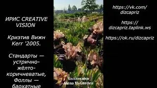 ИРИС CREATIVE VISION  #ирисы #клематисы #лилейники