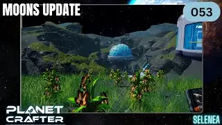 Moons Update - S1E53 - Blumen und Pilze