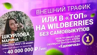 Внешний трафик или продвижение «в ТОП» на #Wildberries без самовыкупов:  реклама у блогеров по шагам