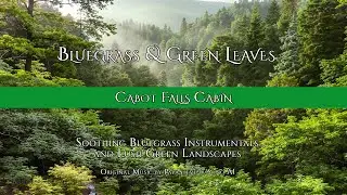 Cabot Falls Cabin | Bluegrass & Green Leaves 4K Nature Instrumental