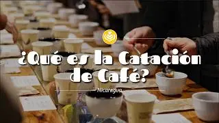 What is coffee cupping?