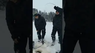 СКАТАЛИ БАТЮ НА ЩУКУ!