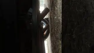 What do y&rsquo;all think it is?