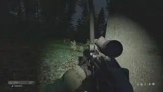 DayZ Bear attack