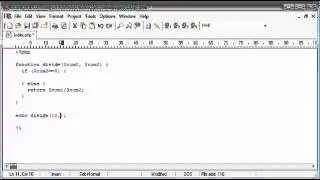 185. Throwing an Exception