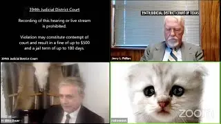 Cat filter during Zoom hearing