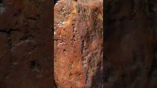 Usually don't find rocks like this jasper,  agate combo!☯️☯️☯️ #jasper #agate