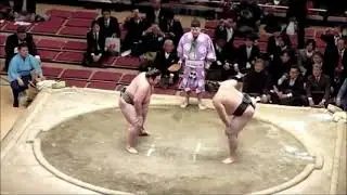 One More Funny Meme: Sumo Punch