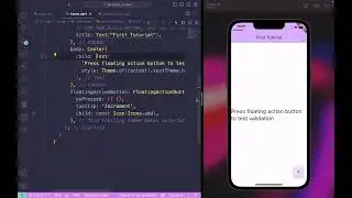 Flutter Call Class