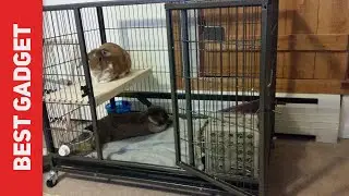 Best Rabbit Cages 2021 - Homey Pet 37 Review