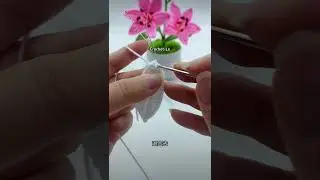 ￼请大家给个关注￼，毛线钩织百合花的全过程￼，全程免费观看，￼后期会有更多完整视频教学，有不会的可以私信给我，谢谢￼