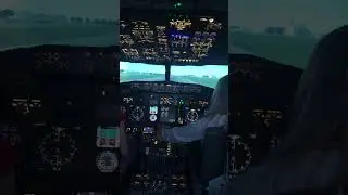 🫨 Amateurs Trying to TAKEOFF a BOEING 737 #boeing737 #simulator #pilot #aviation
