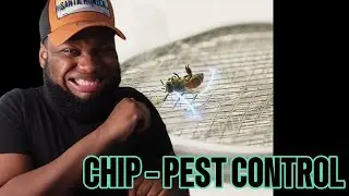 Chip &ndash; Pest Control (Diss Track) | Reaction