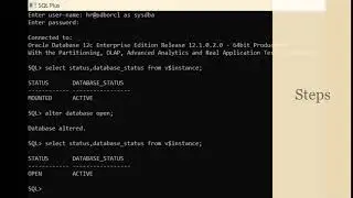 ORA 01033 ORACLE initialization or shutdown in progress | Solution