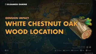 White Chestnut Oak Wood Farming Route | Genshin Impact Natlan