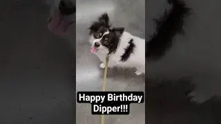 Happy Birthday Dipper!!