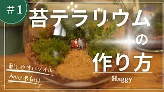 刺しやすい土で苔テラリウムづくり