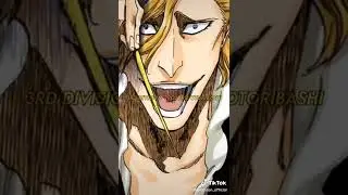 the new gotei 13 #bleach #bankai #shinji #rukia #urahara