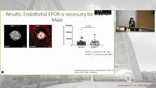 Outcomes in Erythropoietin-Mediated Angiogenesis in Model of Age-related Macular Degeneration