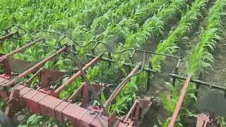 Row Crop Tool Steering video