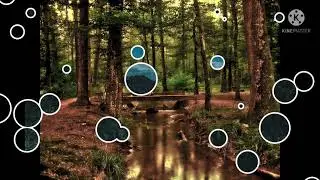 Nature || Wow || natural scenery || relaxing