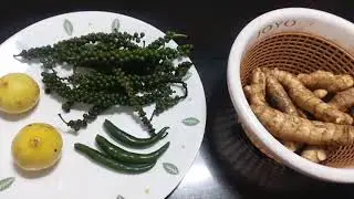 Healthy Pepper Mangai Inji Pickle #மாங்காய் இஞ்சி ஊறுகாய் #pickle #cooking  #ginger #shortsfeed 