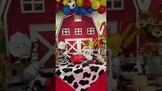 Farm Theme 2nd Birthday decor