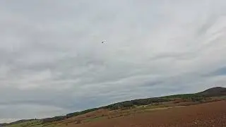 Goosky RS5 3D Heli Fun