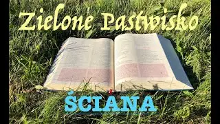 Zielone Pastwisko 4.02.2026 „ŚCIANA” - 2 Sm 24, 2. 9-17; Mk 6, 1-6 - o. Piotr Kleszcz OFMConv.