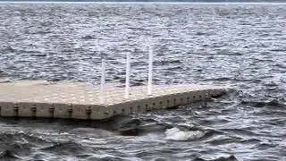 Candock in the waves 4