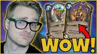ANOTHER Use for TOUR GUIDE? TURBO EXODIA PALADIN is NUTS! | Scholomance Academy | Wild Hearthstone