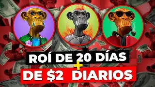 ROI de 20 d&iacute;as 🤑| Proyecto NFT REGALA $8 USD🌟| QUANTUM APE CLUB | FUNCIONARA?
