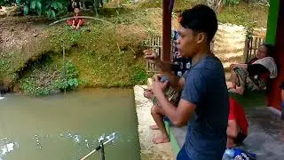 MANCING SERU DI KAMPUNG DI SAKSIKAN IBU2 DAPET IKAN LELE BESAR #mancingmania #mancingliar