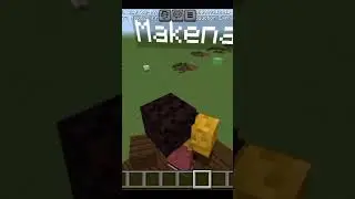 Minecraft zuri and makena