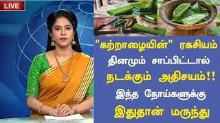 Aloe Vera 7 Wonders | Aloe Vera Health Benefits in Tamil | Aloe Vera Health Tips Tamil | Nalam 360