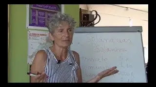 Las Solan&aacute;ceas