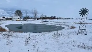 Воскресная история с Бомбером; Зимние сказки: хлопоты на ферме
