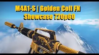 CS:GO - M4A1-S | Golden Coil FN Showcase [720p60]