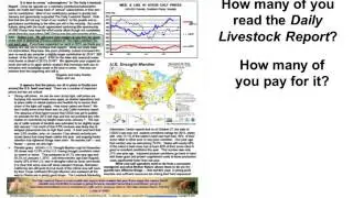Dr. Stephen Koontz - Thinning Cash Fed Cattle Trade: How Thin is Too Thin & What to Do About It?