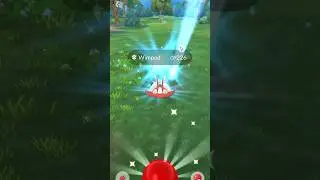 Shiny Wimpod #pokemongo #shinypokemon #pokemon