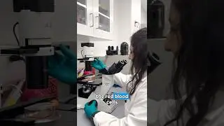 Research on anemia of inflammation with graduate student Meghna Chakraborty 🔬