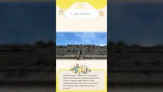 mitos candi Borobudur #candiborobudur #tiktoknews #faktaunikdunia #fyp #faktaunik #keajaibanalam