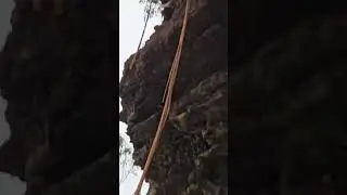 #Blue Mountain bush walking 💐 #naturelovers #relaxing #relaxingmusic #4k #nature #relax