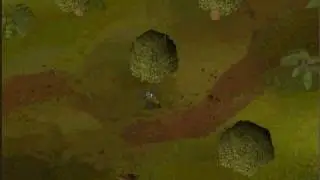 How To Get To Draynor Village From Lumbridge