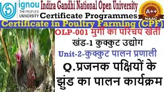 10.IGNOU || CPF || OLP-001 || BLOCK-1 || UNIT-2 || Q.प्रजनक पक्षियों के झुंड का पालन कार्यक्रम