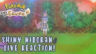 ✶ Live Shiny Reaction Shiny Nidoran♂ After 14 HOURS!!! ✶