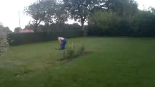 Erdwespennest